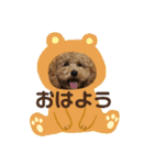 ローちゃん3（個別スタンプ：1）