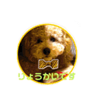 ローちゃん3（個別スタンプ：5）