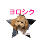 ローちゃん3（個別スタンプ：8）