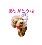 ローちゃん3（個別スタンプ：9）