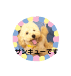 ローちゃん3（個別スタンプ：15）