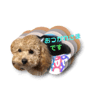 ローちゃん3（個別スタンプ：30）