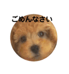 ローちゃん3（個別スタンプ：34）