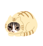 jjhhrr（個別スタンプ：13）