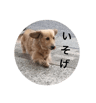 こまつすたんぷ（個別スタンプ：6）