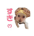ハチコロ（個別スタンプ：5）
