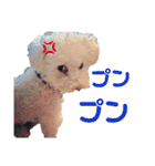 ハチコロ（個別スタンプ：6）