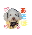 ハチコロ（個別スタンプ：7）