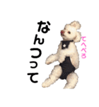 ハチコロ（個別スタンプ：27）