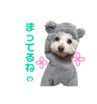ハチコロ（個別スタンプ：30）