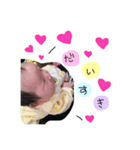 Hiちゃんスタンプ（個別スタンプ：1）