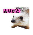 ディランと湯快な仲間たち（個別スタンプ：20）