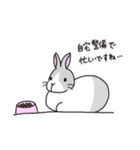 みにちゃんとひなちゃんの使えるスタンプ（個別スタンプ：34）