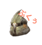 オカメインコのピノとシナモン（個別スタンプ：3）