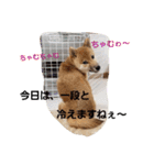 せれなの日常スタンプ（個別スタンプ：14）