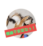 せれなの日常スタンプ（個別スタンプ：16）