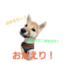 せれなの日常スタンプ（個別スタンプ：18）