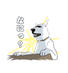 まっしろ珀（個別スタンプ：4）