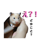 谷口きなこ2nd.（個別スタンプ：4）