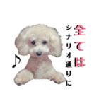 谷口きなこ2nd.（個別スタンプ：6）