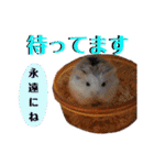 谷口きなこ2nd.（個別スタンプ：7）