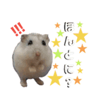 谷口きなこ2nd.（個別スタンプ：8）