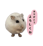 谷口きなこ2nd.（個別スタンプ：12）