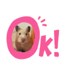 谷口きなこ2nd.（個別スタンプ：13）