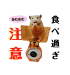 谷口きなこ2nd.（個別スタンプ：14）