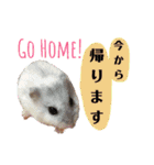 谷口きなこ2nd.（個別スタンプ：15）