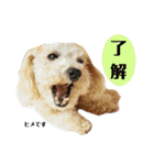 谷口きなこ2nd.（個別スタンプ：16）