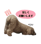 谷口きなこ2nd.（個別スタンプ：17）
