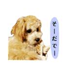 谷口きなこ2nd.（個別スタンプ：18）