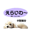 谷口きなこ2nd.（個別スタンプ：20）