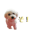 谷口きなこ2nd.（個別スタンプ：21）