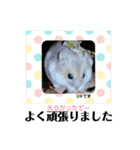 谷口きなこ2nd.（個別スタンプ：25）