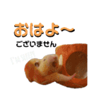 谷口きなこ2nd.（個別スタンプ：26）
