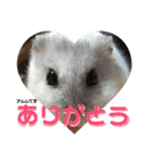 谷口きなこ2nd.（個別スタンプ：29）