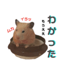 谷口きなこ2nd.（個別スタンプ：30）