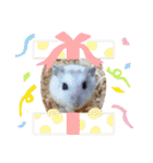 谷口きなこ2nd.（個別スタンプ：32）