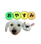 よーさん家のわんこ（個別スタンプ：3）