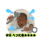 瞬太郎くんのスタンプ2（個別スタンプ：5）