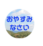 sora sora sticker（個別スタンプ：1）