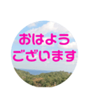 sora sora sticker（個別スタンプ：2）