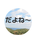 sora sora sticker（個別スタンプ：4）
