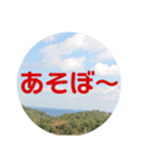sora sora sticker（個別スタンプ：7）