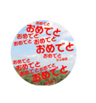 sora sora sticker（個別スタンプ：10）