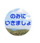 sora sora sticker（個別スタンプ：11）