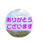 sora sora sticker（個別スタンプ：12）