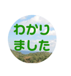 sora sora sticker（個別スタンプ：13）